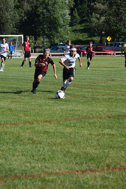 辽宁的冬天也太全面了 冬季海上挑战赛激情开赛 助力打造大连“冬泳之都”